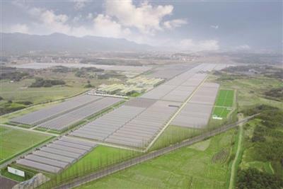 兗州后宮村生態(tài)農業(yè)建設項目